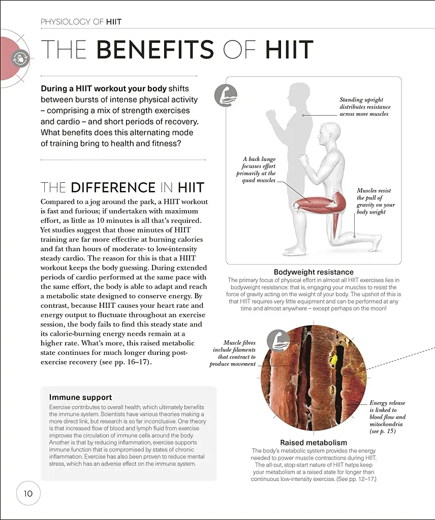 Science of HIIT - фото 5