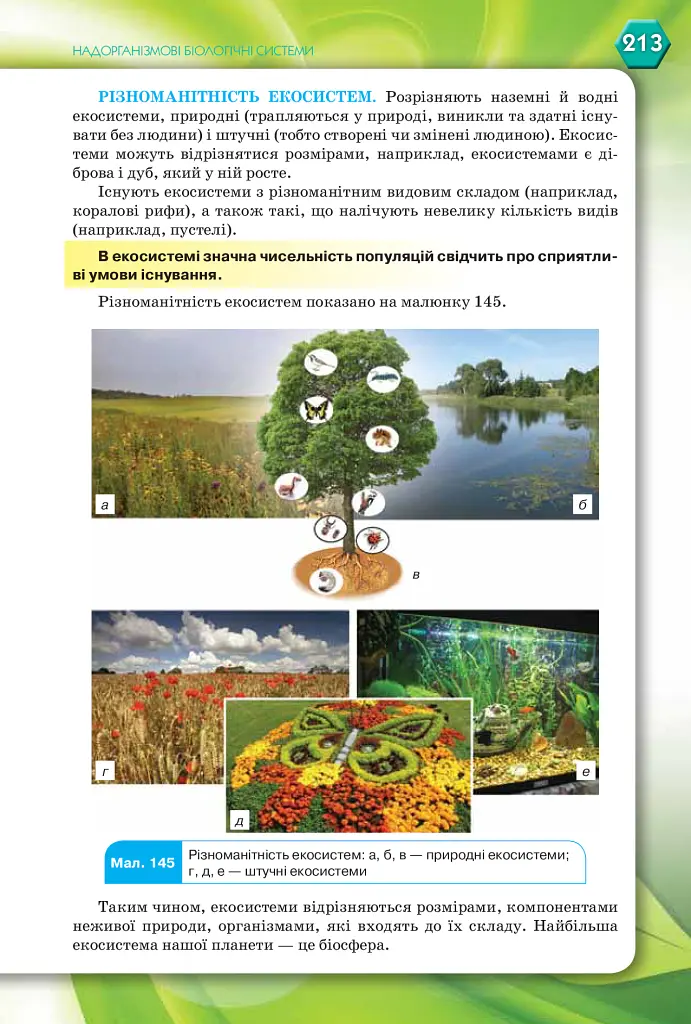 Біологія 9 клас - Тетяна Коршевнюк - фото 4