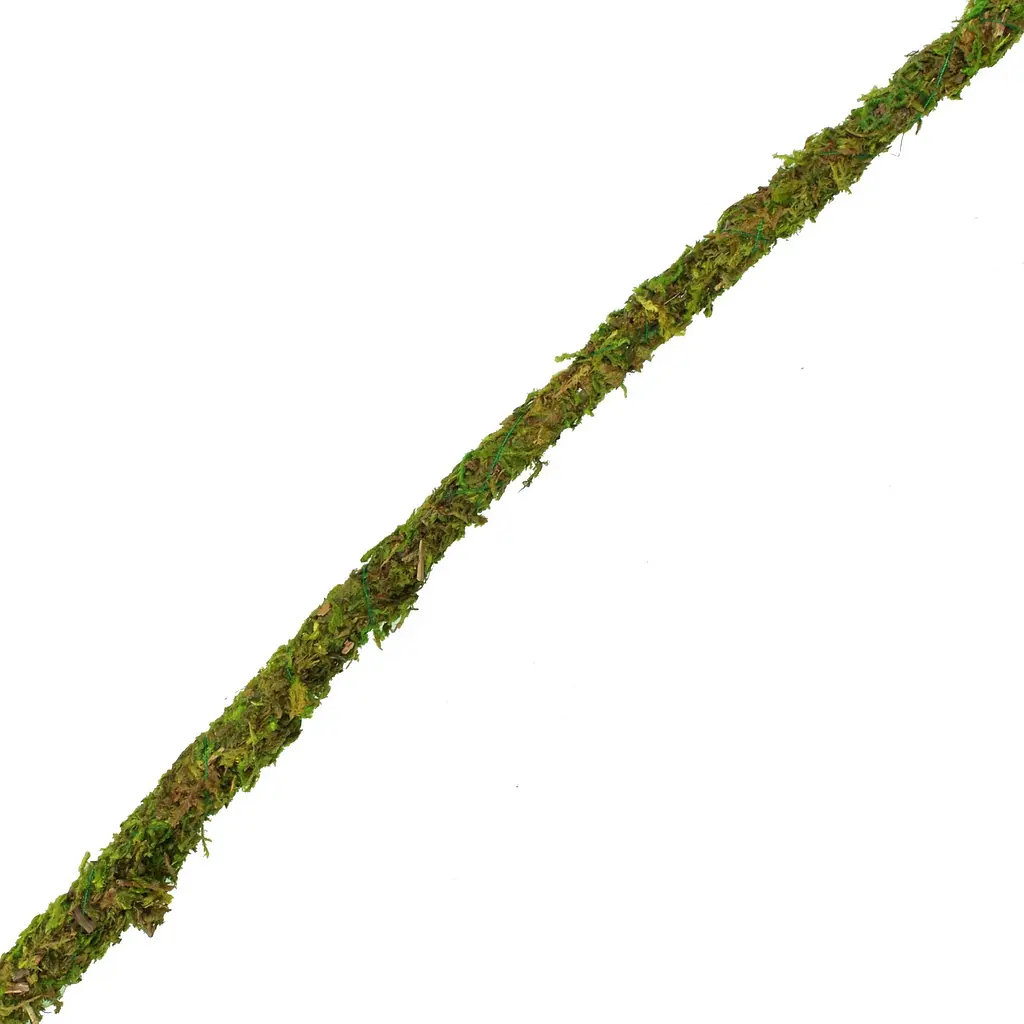 Ліана гнучка з натуральним мохом для тераріуму Repti-Zoo Artificial Moss Vine 1см x 2м (RV0210) - фото 2