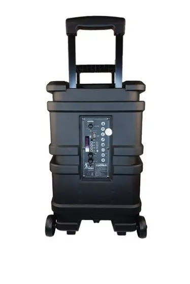 Колонка Big PK-1211 bluetooth + мікрофон (360х280х560) USB/MO3/FM/TWS Чорний - фото 4