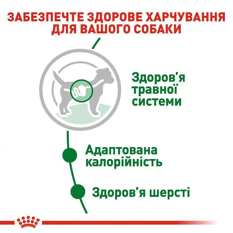 Вологий корм Royal Canin Mini Adult для дорослих собак дрібних порід 1.02 кг (12 шт. х 85 г) - фото 5