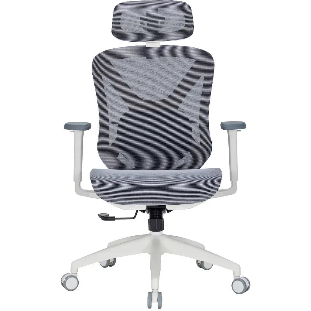 Офісне крісло OfficePro Atlas OC630G-DG-DG (OC630-G-DG-DG)