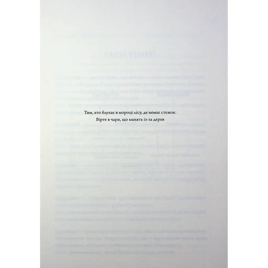 Книга Анафема. Книга 1 - Кері Лейк КСД (9786171518926) - фото 4