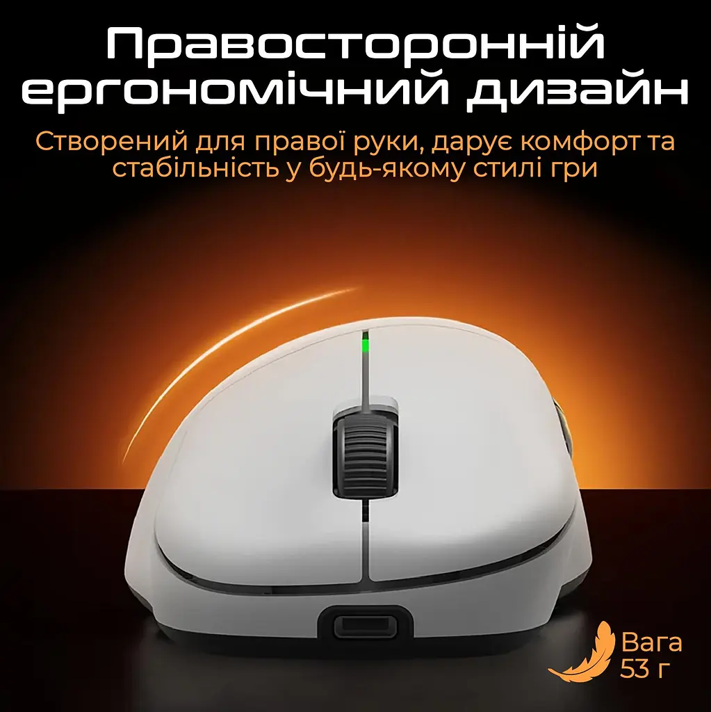 Миша RAWM ER21 Black (ER21.black) - фото 6