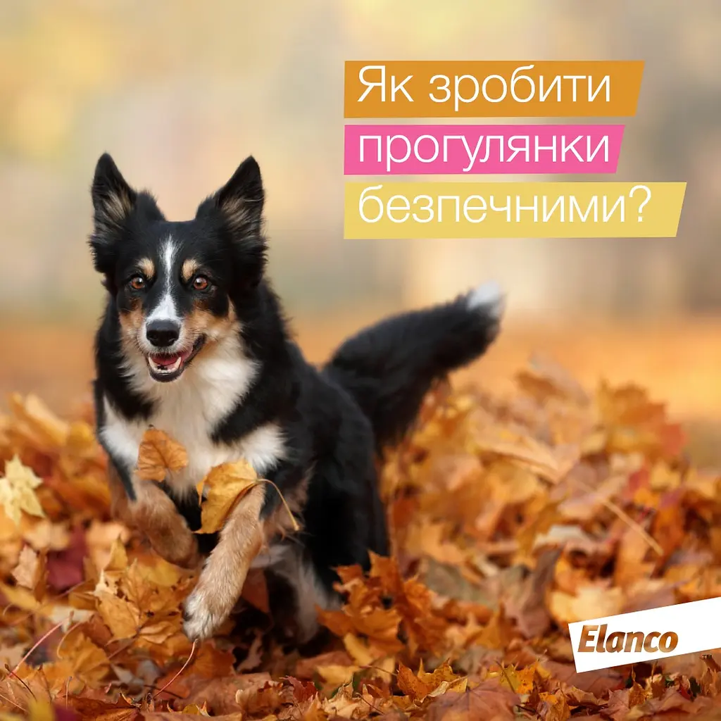 Таблетка против внешних и внутренних паразитов для собак Elanco Credelio Plus от 5.5 до 11 кг ЦЕНА ЗА 1 ШТ - фото 2