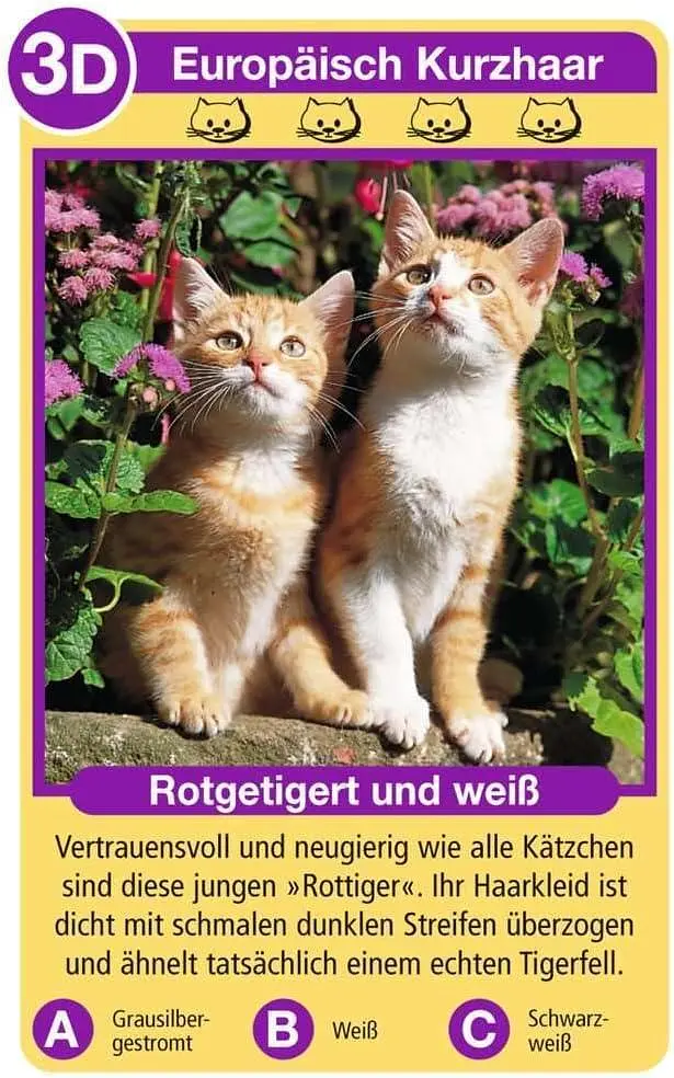 Карткова гра Породи котів Ravensburger Tierquartett Katzen німецька версія 32 породи котів 3–6 гравців (SKU-217) - фото 2