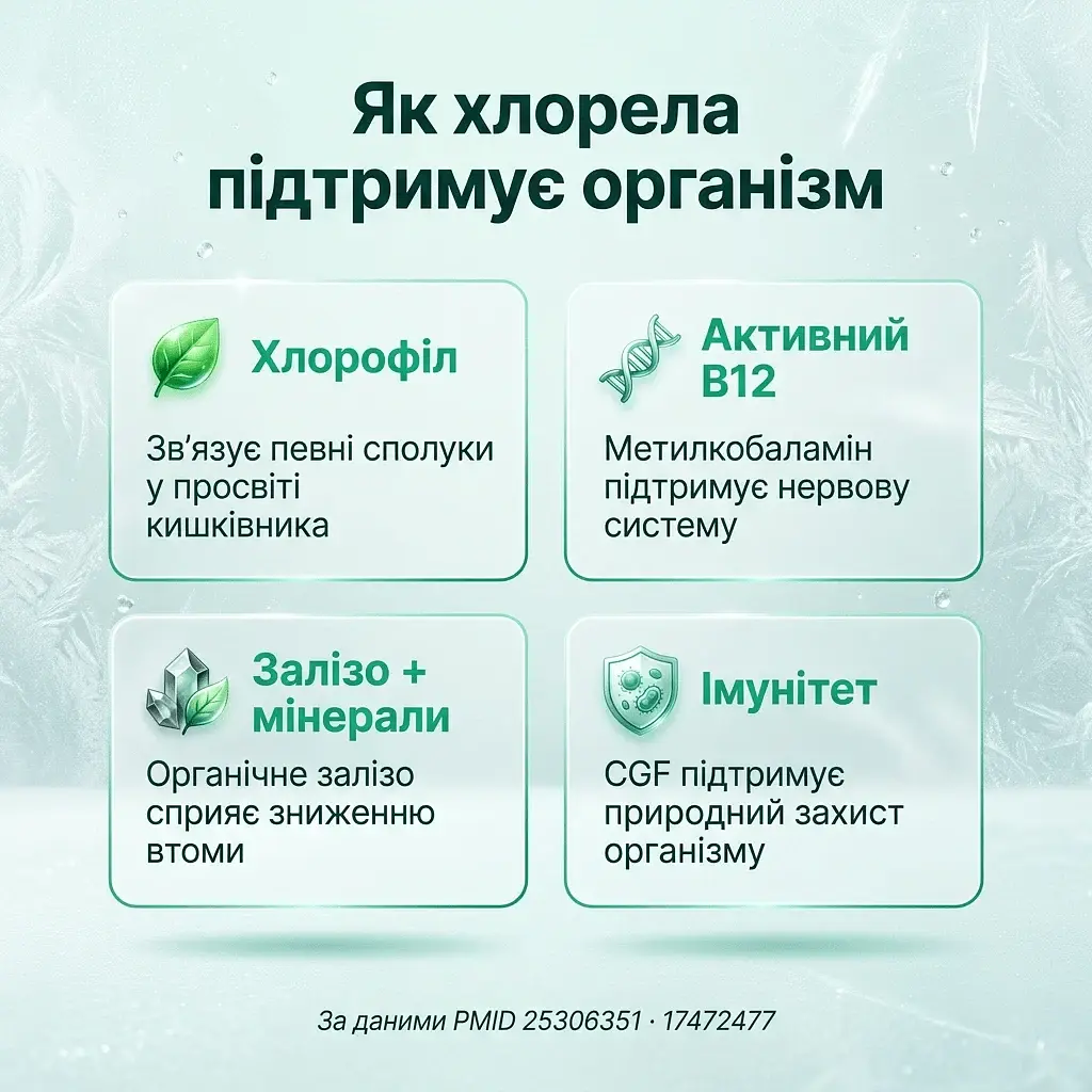 Хлорела у порошку 100 г - фото 4