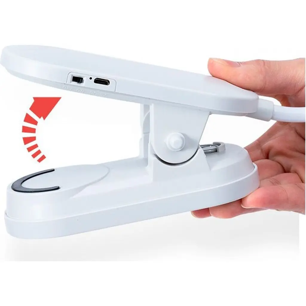 Настільна лампа AC Prof LDL3878 [110921] - фото 2