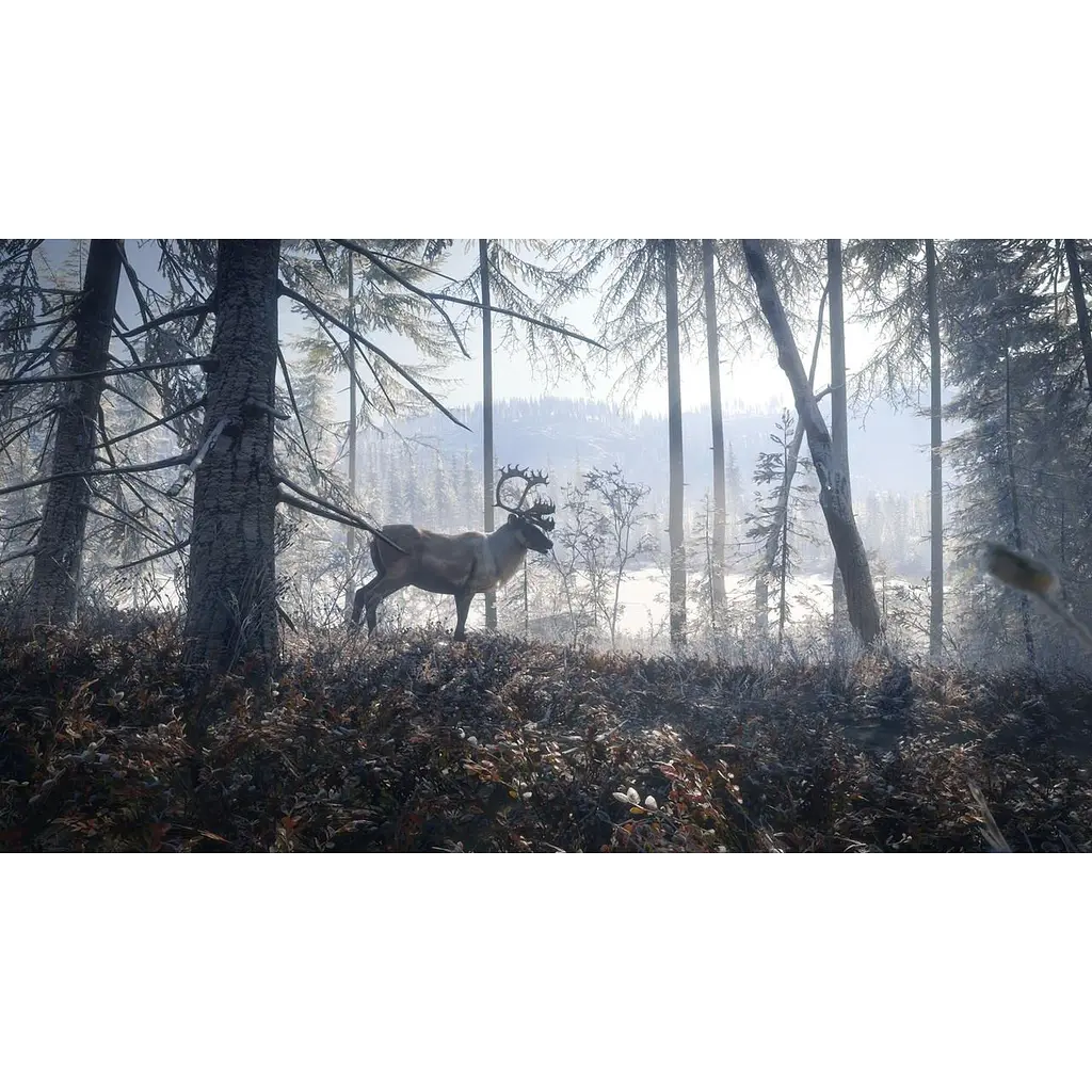 Ключ активації Microsoft TheHunter: Call of the Wild - Silver Bundle для Xbox One/Series - фото 7