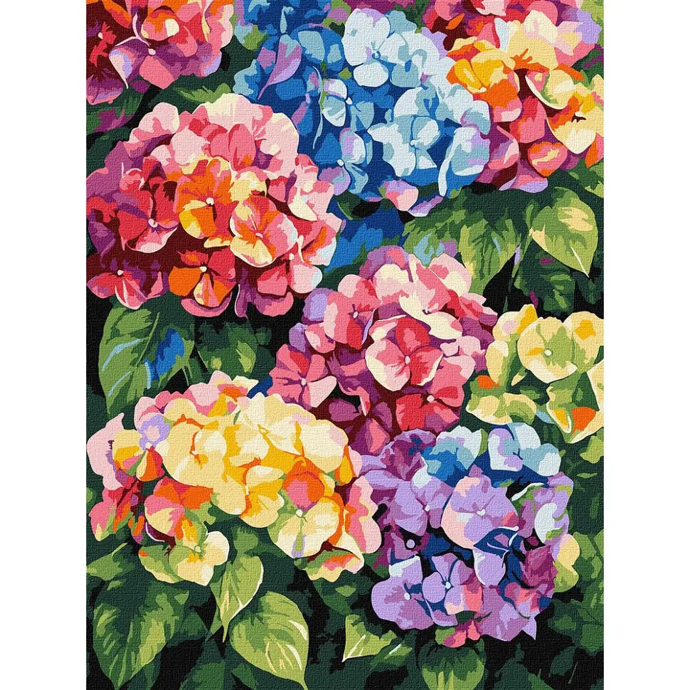 Картина за номерами "Різнокольорові гортензії" art_selena_ua KHO3299, 30х40 см