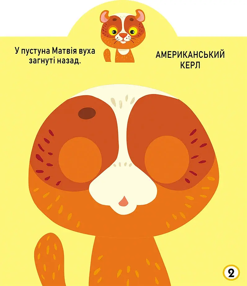 Грайка-розвивайка. Котики. 69 великих наліпок - фото 3