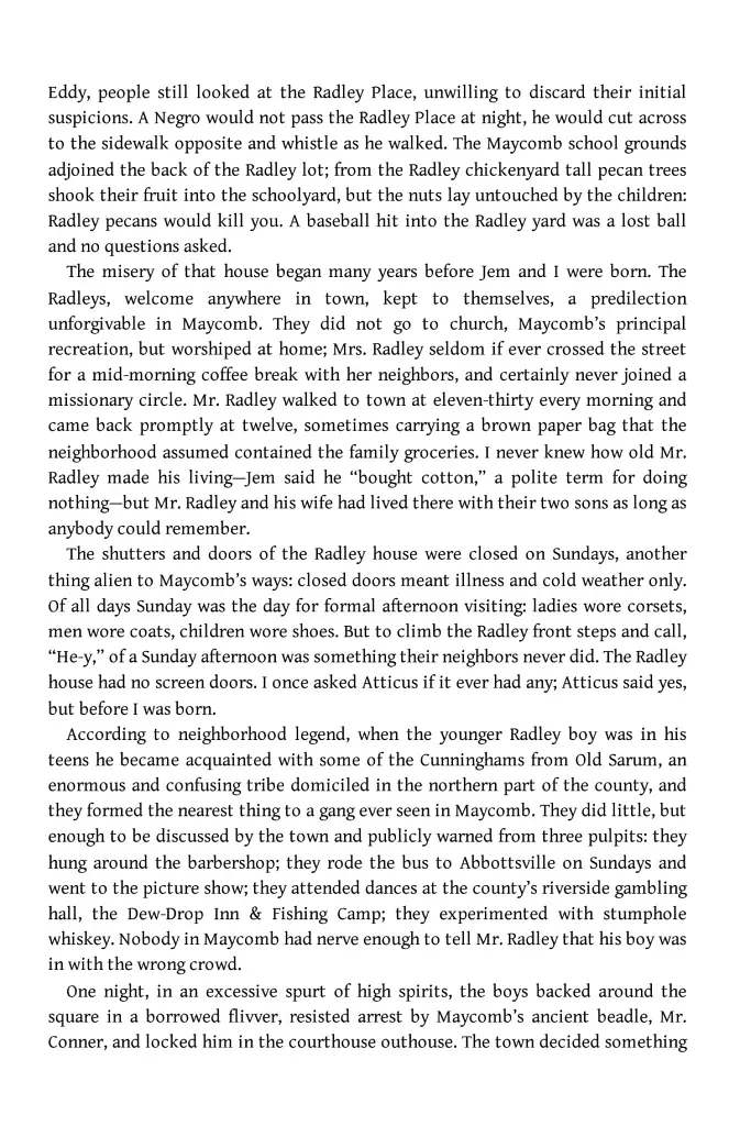 To Kill a Mockingbird - фото 8