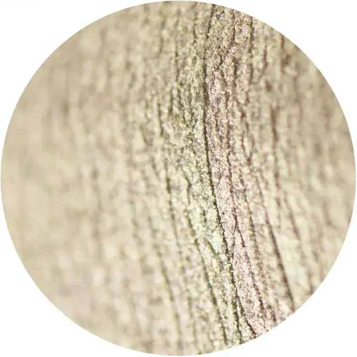 Розсипчасті тіні Sinart Make-Up With Passion тон 94 (Copper Light) 1 г - фото 2