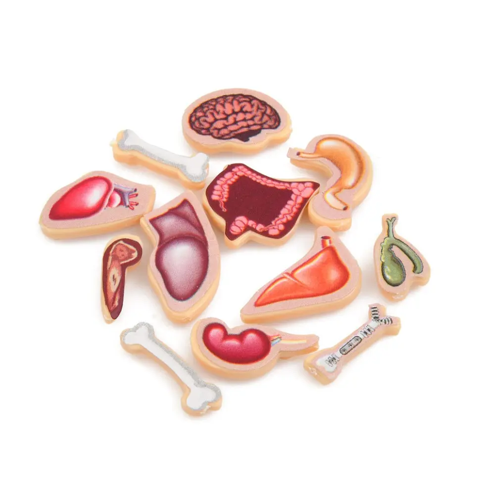 Дитяча настільна гра Bambi Crazy Doctor 1295-3 ігрове поле рулетка - фото 3