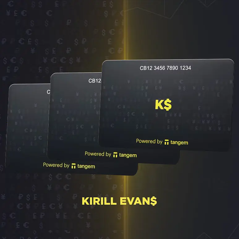 Криптокошелек Tangem Wallet 2.0 Kirill Evans на 3 карты (TG128X3-KE) - фото 2