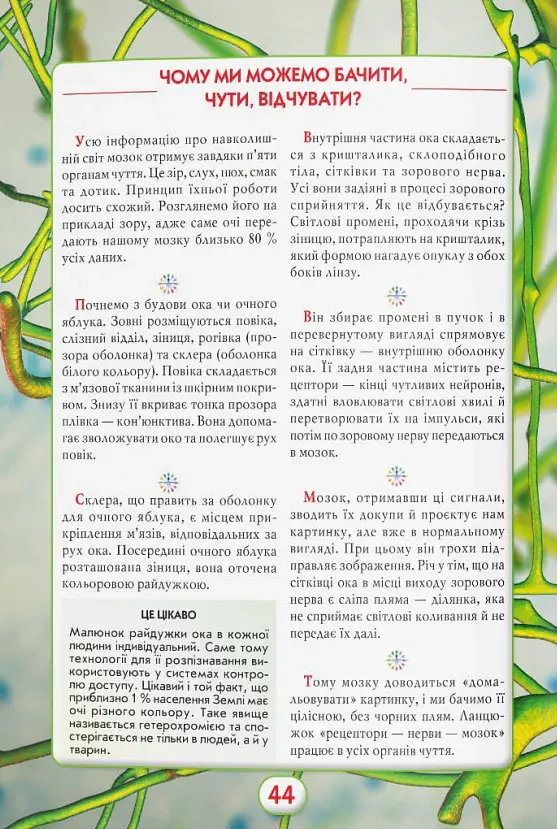 Ви маєте це знати. Тіло людини - - фото 9