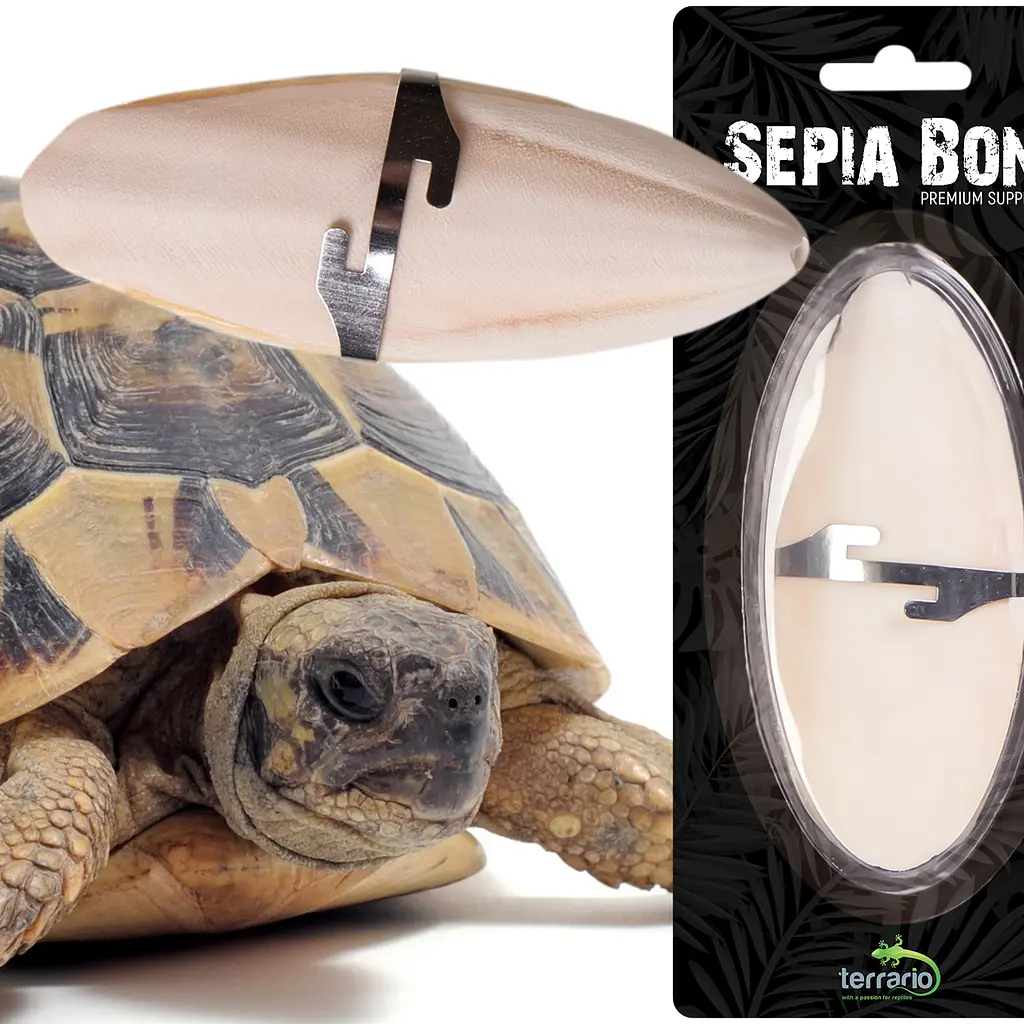 Сепія для черепах, природний вапняк для рептилій Terrario Sepia Bone 10-15см - фото 6