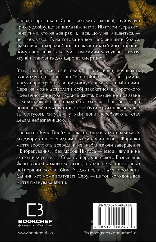 Плоть і вогонь. Книга 2. Світло у пломені - Дженніфер Л. Арментраут - фото 2