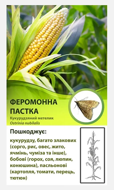 Феромонна пастка від кукурудзяного стеблового метелика