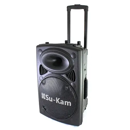 Колонка бездротова Сабвуфер Bluetooth FM Speaker Su-Kam BT-120D з 2 мікрофонами - фото 11