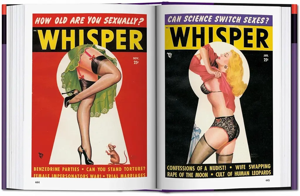 1000 Pin-Up Girls - фото 4
