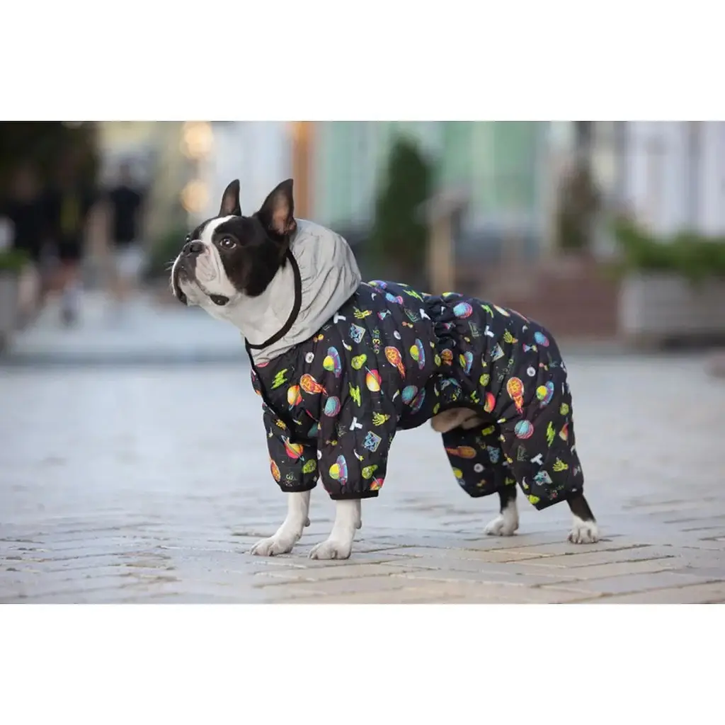 Комбінезон для собак Waudog Clothes, Рік та Морті 2, XS30 - фото 2