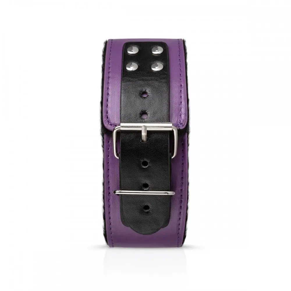 Набір БДСМ Secret Pleasure ChestPurple Apprentice - фото 4