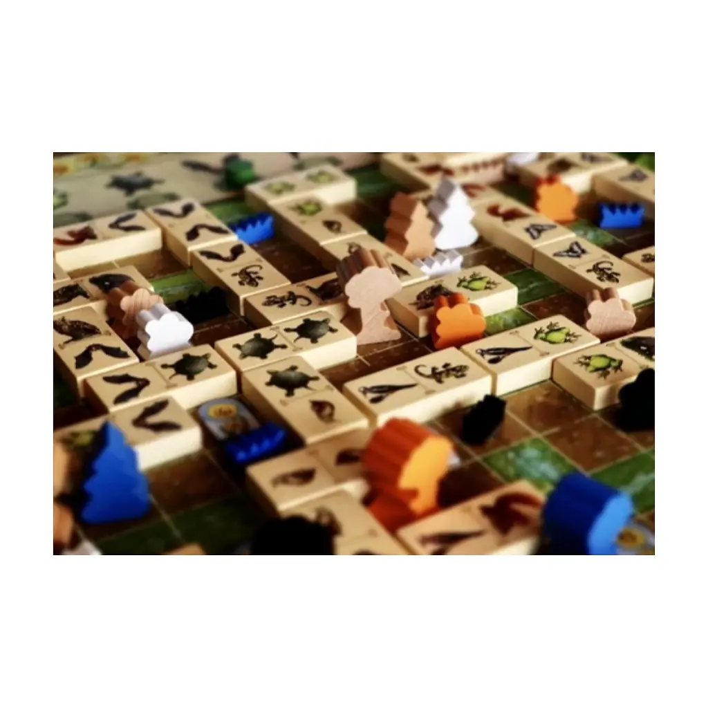 Настільна гра Capstone Games Renature (Розквіт), англійська (5060226932955) - фото 5