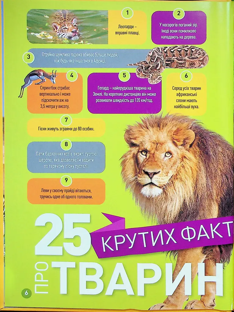 Гррр! 100 цікавих фактів про тварин Африки - фото 2