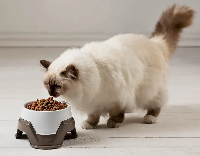 Миска для корма с регулируемой высотой Mimi 19x19x10/13h, коричневый - фото 5