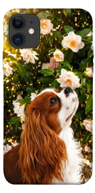 TPU чохол Demsky Flower spaniel для Apple iPhone 11 (6.1")