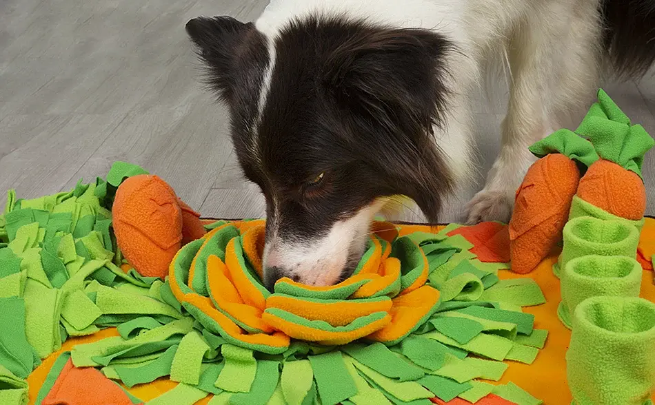 Килимок для нюхання для собак Derby Pet Shuffle Mat orange - фото 3