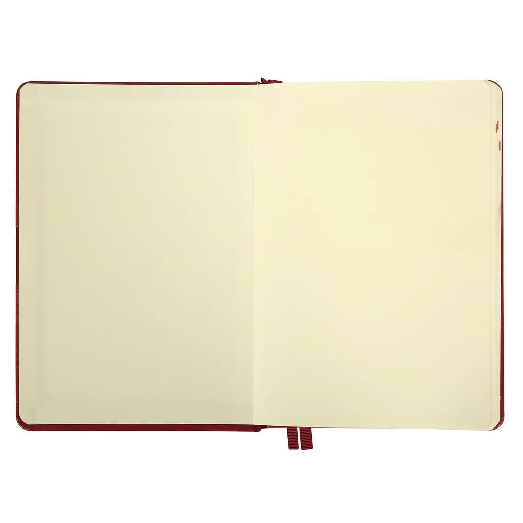 Щоденник А5 Leo Planner датований 2025 Persona бордовий 368 сторінок (252663) - фото 4