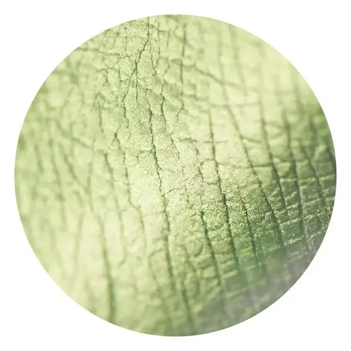 Розсипчасті тіні Sinart Make-Up With Passion тон 6 (Pure Glossy Gold) 1 г - фото 2