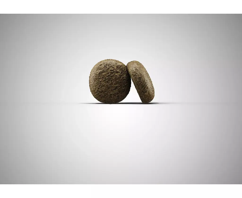 Сухий корм для собак Josera Lamm & Batate, з ягнятком і бататом, 900 г - фото 2