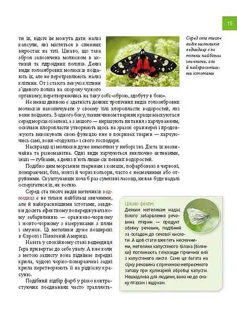 Тварини - майстри маскування. Енциклопедія для допитливих - Андрій Гапченко - фото 5
