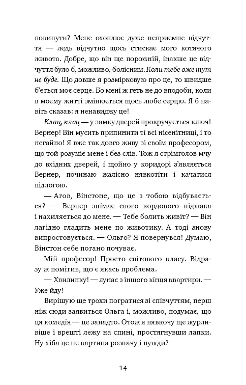 Пригоди кота-детектива. Книга 1. Таємна місія - фото 12