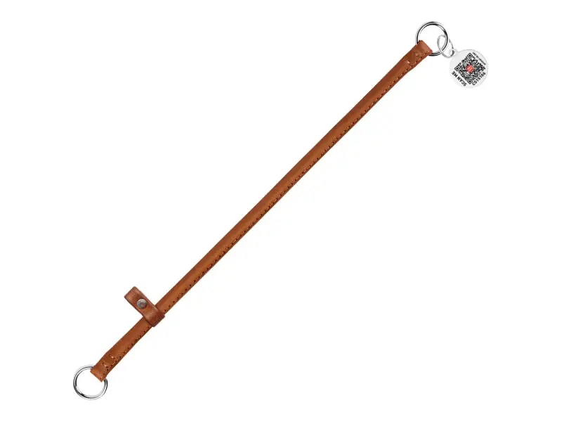 Ошейник для животных WAUDOG Soft с QR паспортом, круглый, Ш 8 мм Д 40 см коричневый (75156) - фото 2