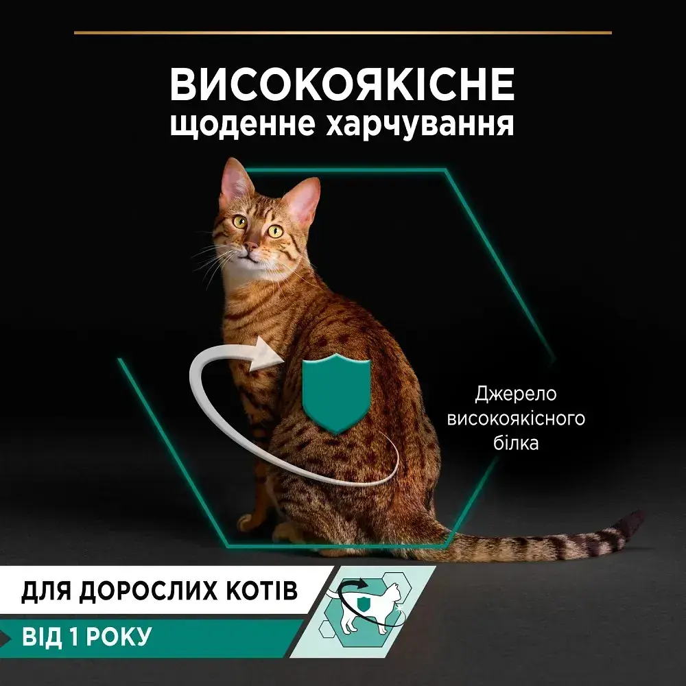 Вологий корм для котів Purina Pro Plan Adult паштет з куркою 85 г 12514076 - фото 4