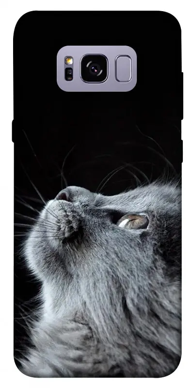 Чохол Demsky Cute cat для Samsung G955 Galaxy S8 Plus