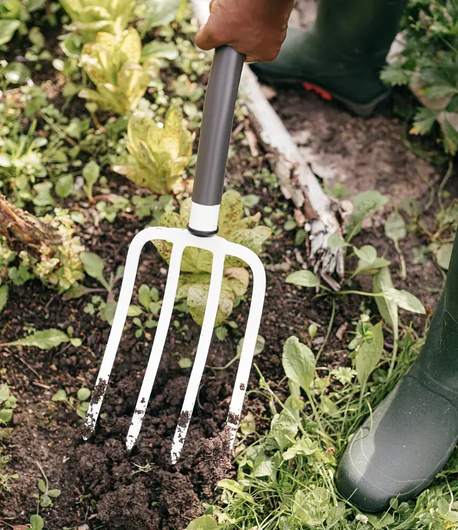 Набір Fiskars: Вила садові White +Лопата садова штикова Fiskars Classic FSC - фото 2