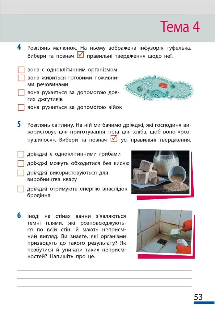 Пізнаємо природу. 6 клас. Робочий зошит до модельної навчальної програми (Коршевнюк Т.В.) - Ольга Тагліна - фото 7