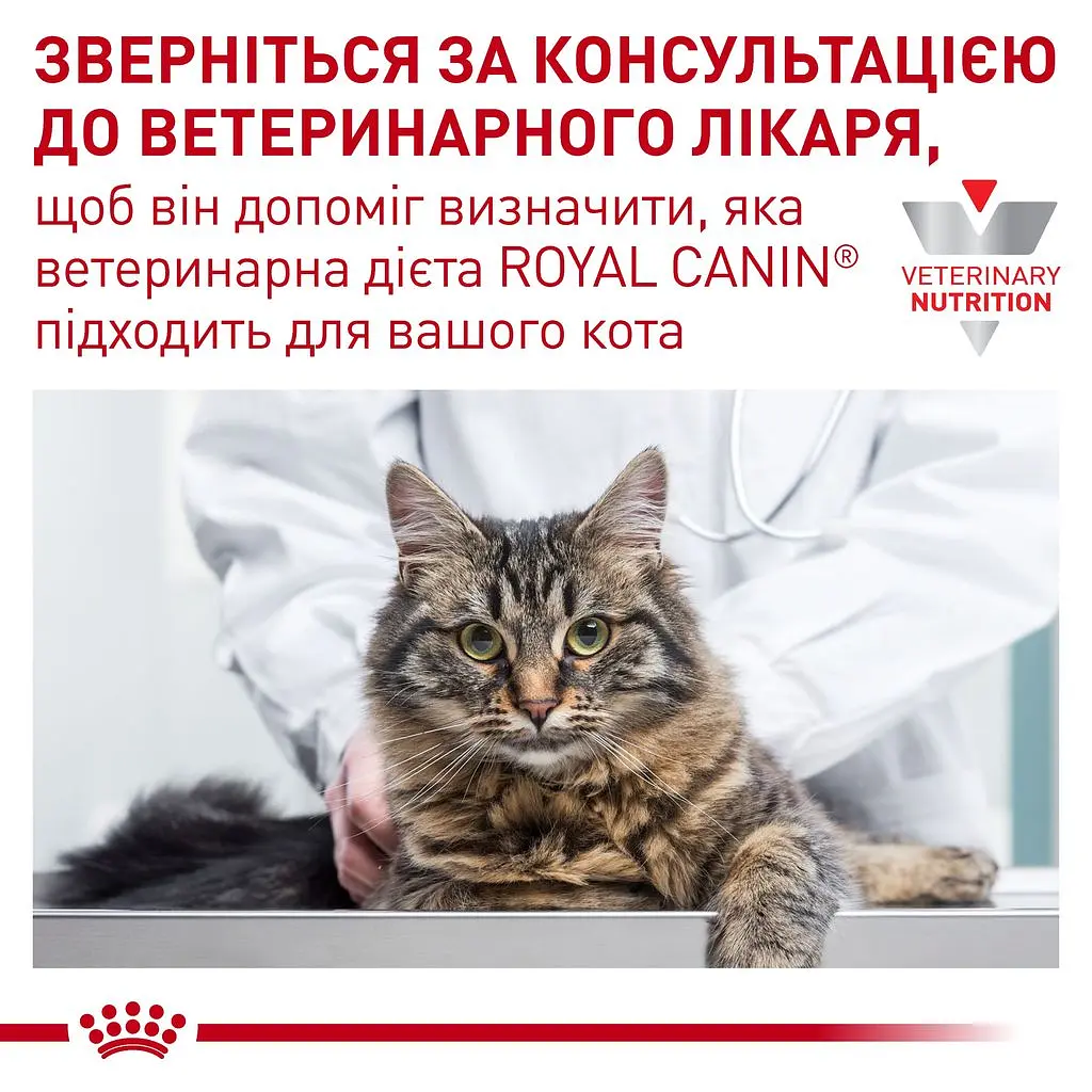 Сухий лікувальний корм для кішок при захворюваннях опорно-рухової системи Royal Canin Cat Mobility Feline, 2 кг (3946020) - фото 7