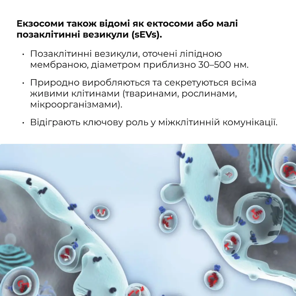 Антигравітаційна моделююча сироватка для обличчя та шиї ReNuAge ContourLift Serum Hillary 30 мл - фото 12