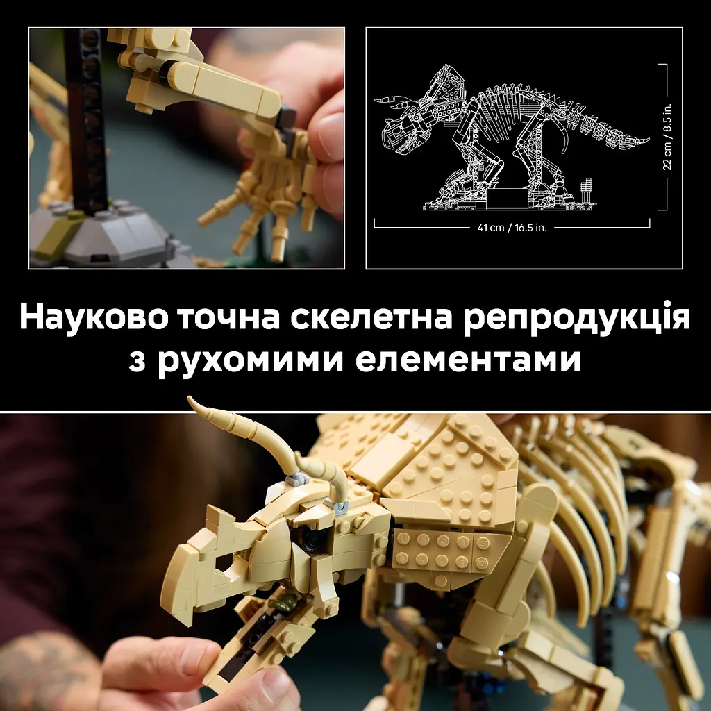 Конструктор LEGO Jurassic World Скамʼянілості динозаврів: трицератопс (77985) - фото 9