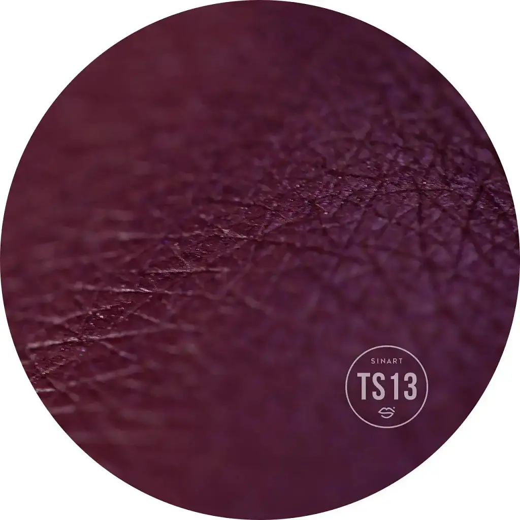 Прессованные тени для век Sinart Extra Dimension Velor Eyeshadow TS13 1.5 г - фото 2