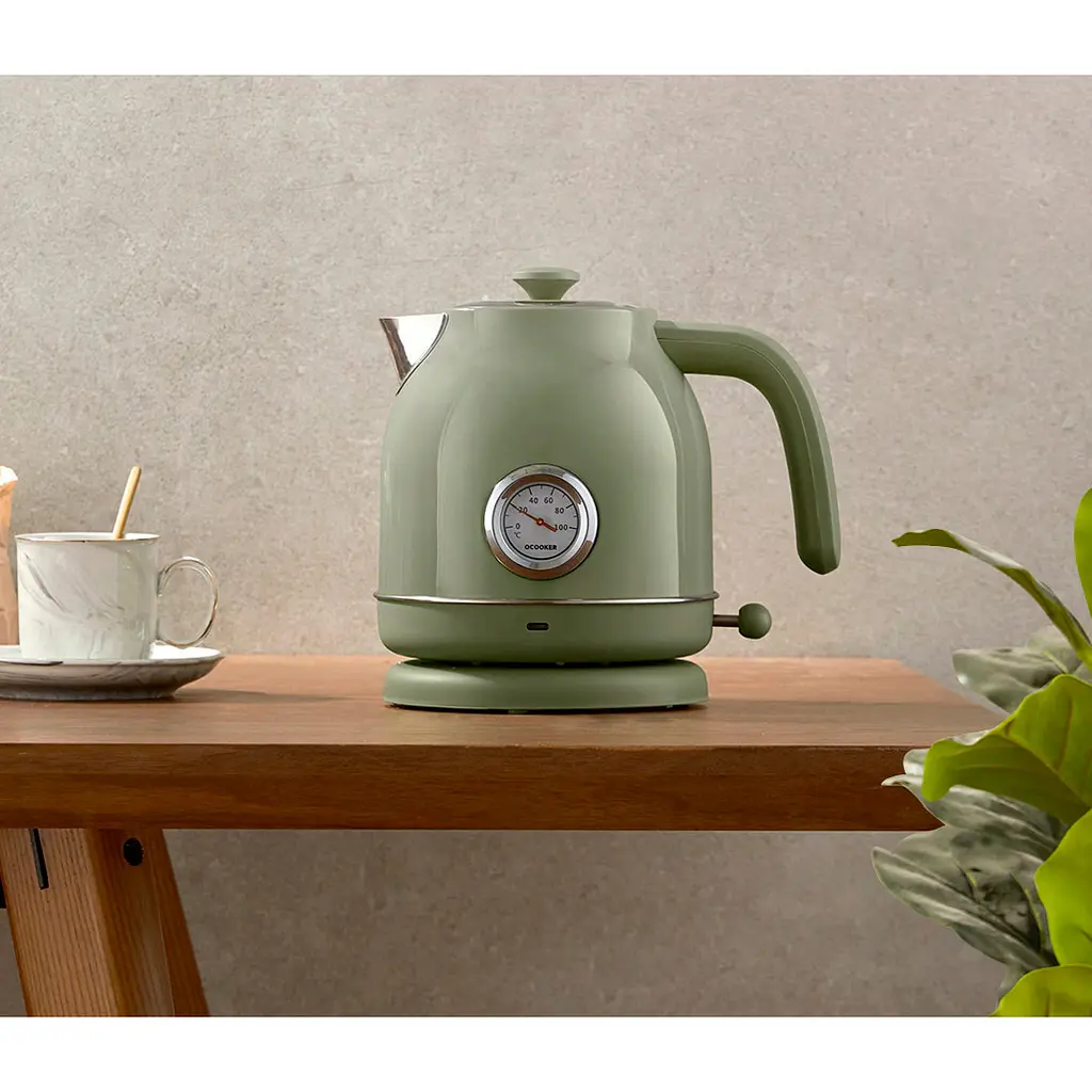 Электрочайник Qcooker Electric Kettle Green [CS-SH01] [123058] - фото 4