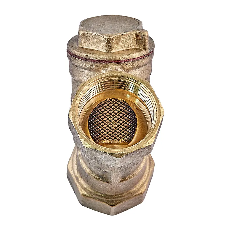 Фільтр грубої очистки з вушком (латунь) Waterpro WP200-20 - 3/4" WP3305 - фото 2