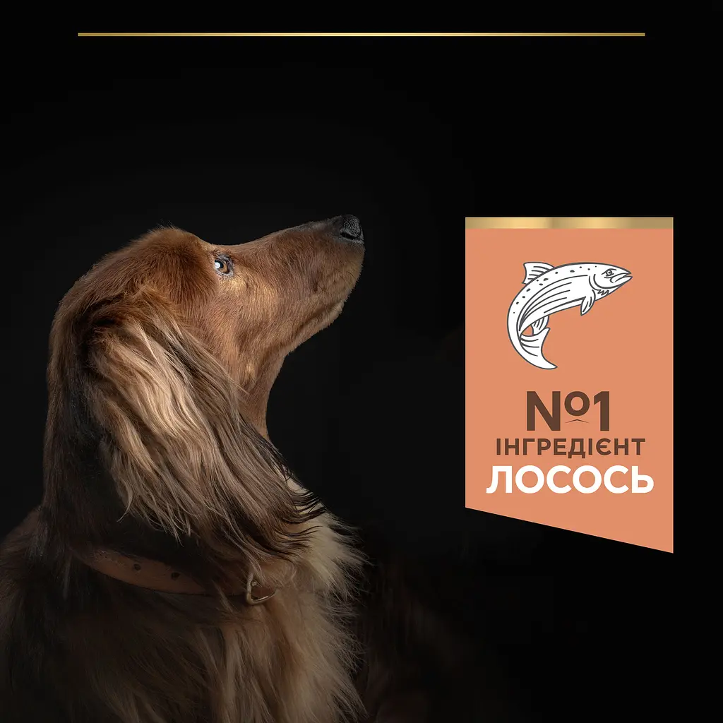 Сухой корм Purina Pro Small & Mini Adult 1+ Sensitive Skin для взрослых собак мелких пород с чувствительной кожей с лососем 7 кг (12392233) - фото 7