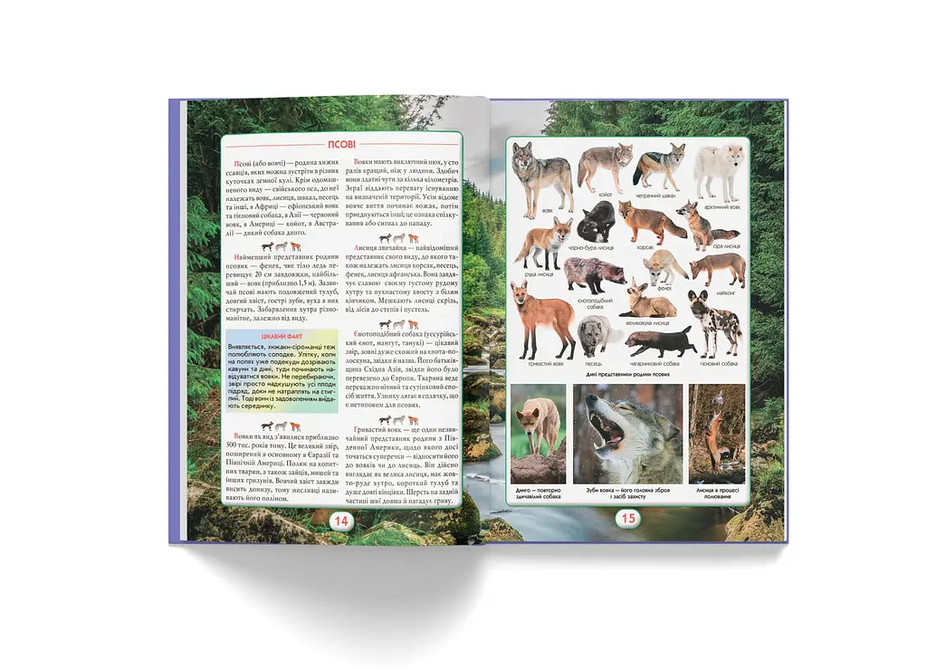 Книга Кристал Бук Ви маєте це знати. Світ звірів (F00031321) - фото 8